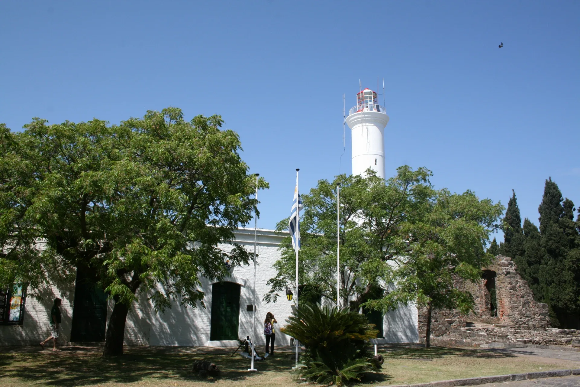 Le phare de Colonia del Sacramento au-dessus des arbres du quartier historique, photographié en 2009.
