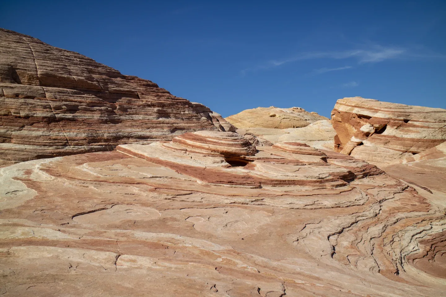 Superfici di arenaria rossa e crema, striate sotto il cielo azzurro di Valley of Fire.