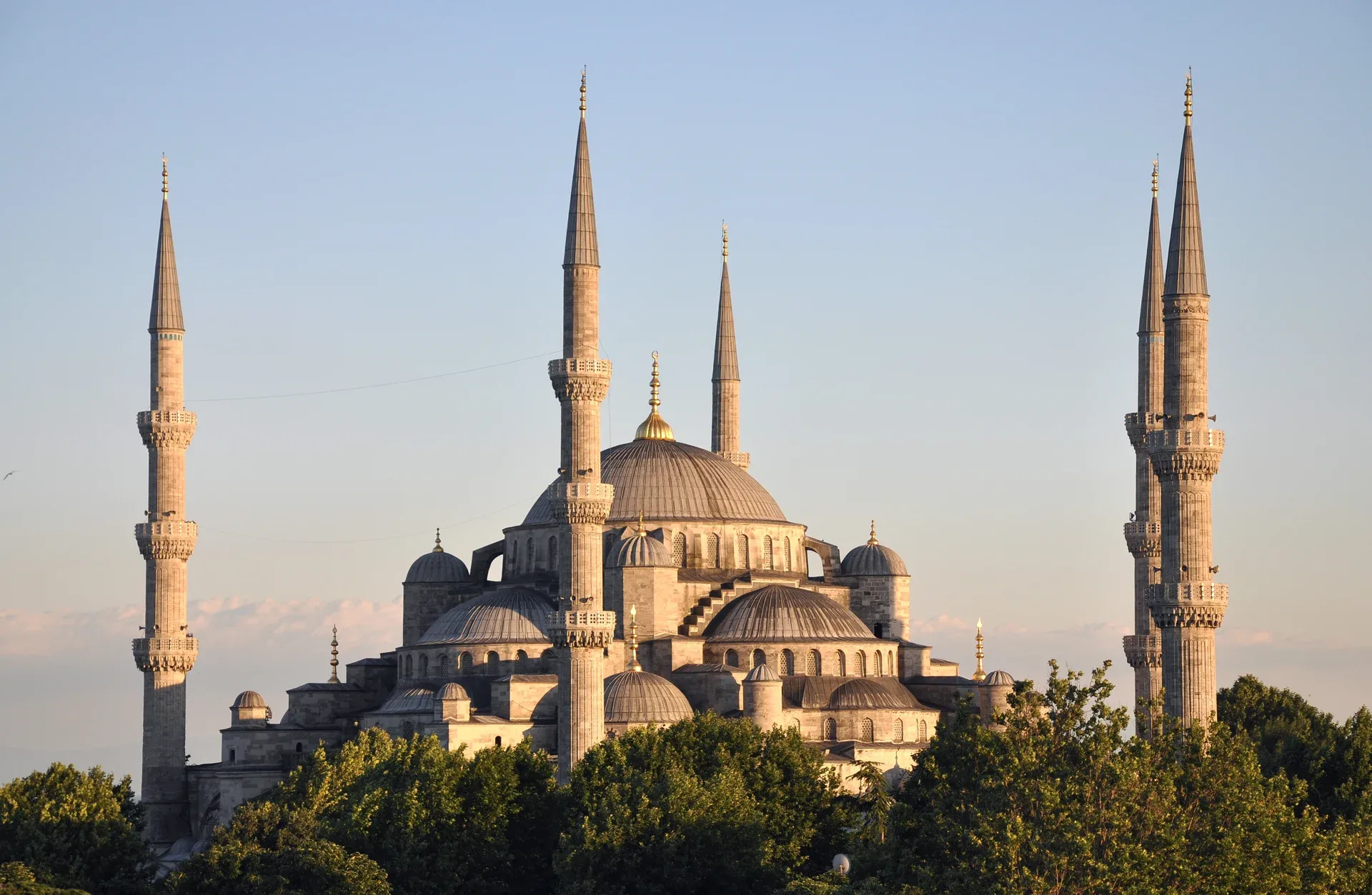 Cupole e minareti della Moschea Blu di Istanbul, sopra gli alberi.
