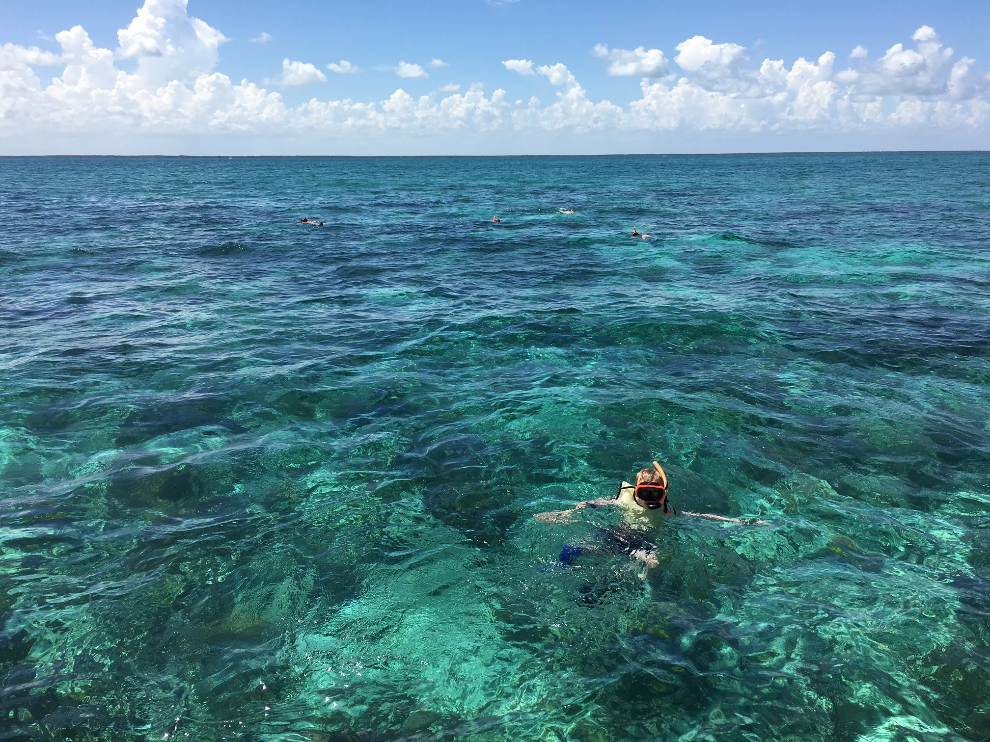 Visitors snorkel in the waters of Anniversary Reef in Biscayne National Park.
